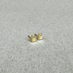 Padlock Studs