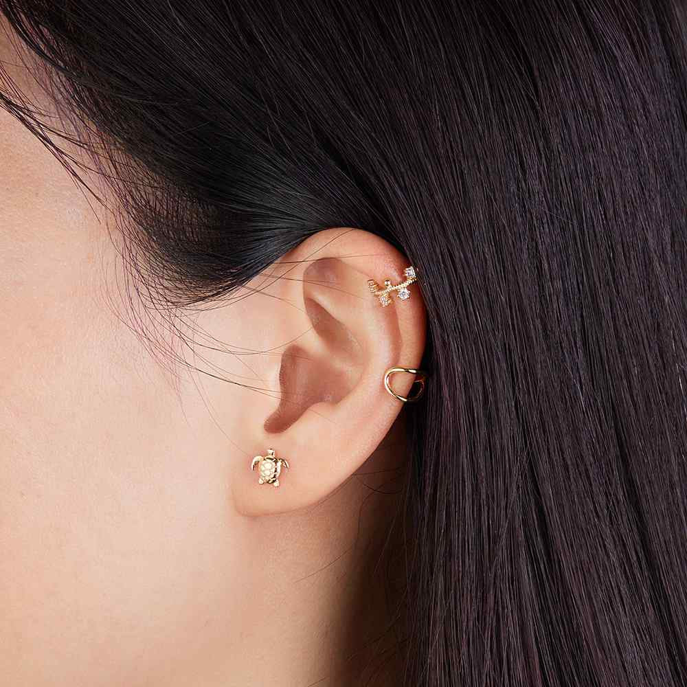 Lovely Turtle Studs