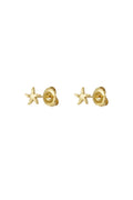 Starfish Studs