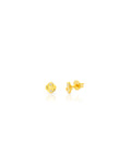 Cactus Studs
