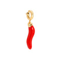 Spicy Pepper Charm